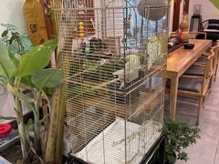 -潇湘·永州会馆(百子湾店)