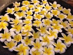 iphone_upload_pic-吴哥国家博物馆