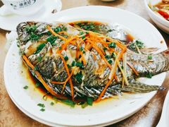 清蒸罗非鱼-龙记烤鸭店(新民路店)