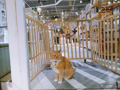 -小时光咖啡馆(开森度假森林店)