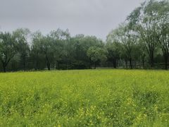 -北坞公园