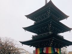 -医王山·飞騨国分寺