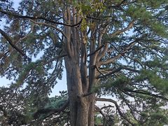 -终南山南五台景区