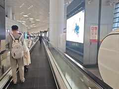 -郑州新郑国际机场-T2航站楼