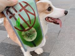 小麦草-挞柠·手打柠檬茶(白云汇广场店)