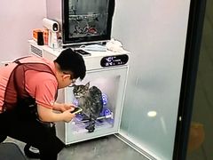 -爱洗澡的猫(望京店)