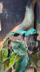 -Zoolung Zoolung动物主题公园(海信广场店)