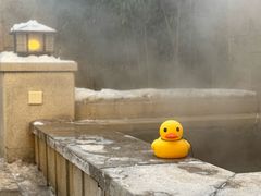 -北京益泉花园酒店