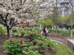 -江南大学(蠡湖校区)