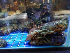 水产区-徐记海鲜(观沙岭|滨江新城店)