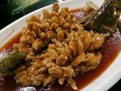 -协和菜馆(凤凰街店)