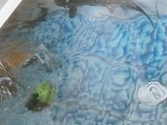 -北京龙庆四季香农家饭庄·灶台鱼·碳烤虹鳟鱼(龙庆峡店)