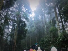 -井冈山风景名胜区