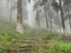 -莫干山风景区