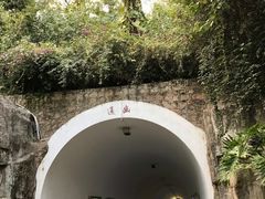 -深圳国际园林花卉博览园