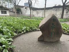 -绍兴鲁迅故里·沈园景区