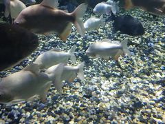 -成都浩海立方海洋公园