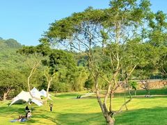 -丰依竹食·老牌竹筒饭