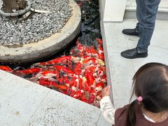 -三溪村