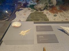 -中国（海南）南海博物馆
