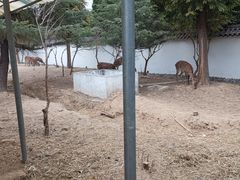 -观唐（国际）度假村温泉
