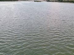 -灞河西岸滨河公园