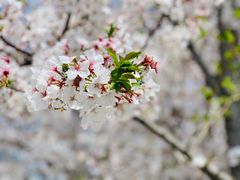 -龙美术馆(西岸馆)
