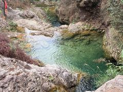 -南海湾森林生态园
