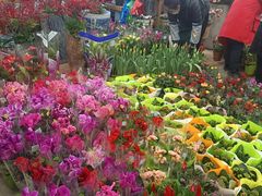 -双季花艺园艺市场(浦东店)