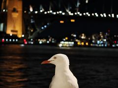 -悉尼海港大桥