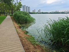 -高子水居