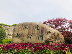 -嘉定紫藤园