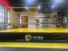 -成泰格斗(环球商业广场店)