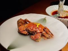 -觀芷隐轩