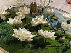 -陶缘一号·四季缘·老字号顺德菜·户外婚礼家宴(西滘店)
