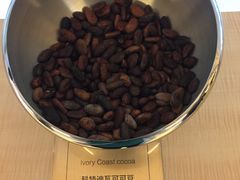 -歌斐颂巧克力小镇