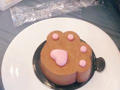 -喵屿·大理花园猫咖