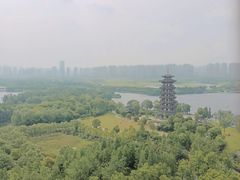 -洋湖国家湿地公园