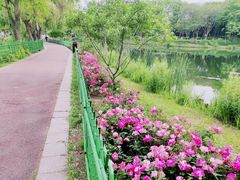 -金银湖国家城市湿地公园