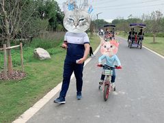 -昆山城市生态森林公园