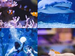 -南昌海洋公园