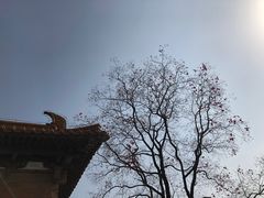 -南京博物院