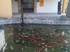 -稻香湖景酒店
