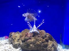 -常州海昌海洋探索馆