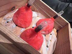 -桂满陇·海市蜃楼·黑金(国金店)