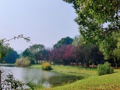 -艾溪湖湿地公园