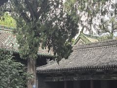 -窦大夫祠