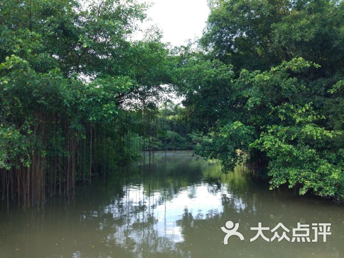 小鳥天堂-圖片-新會周邊遊-大眾點評網