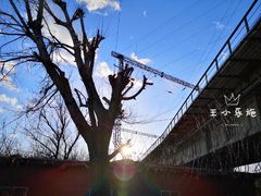 -永定河休闲森林公园