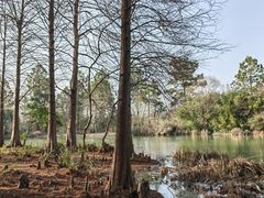 -西溪国家湿地公园